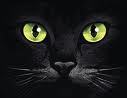 wow! Ur a day dream arent ya? lolz! n yes u can join OnyxMoon! I used to hav a black cat named Onyx! 