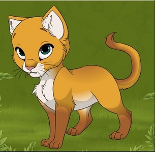 Hello, I'm ready to rejoin! I'm a light orange she-cat with brown paws and a white underbelly, and da