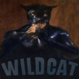  i also made this wildcat icoon from the JSA painting and i'm not sure which one to bevestig <3
