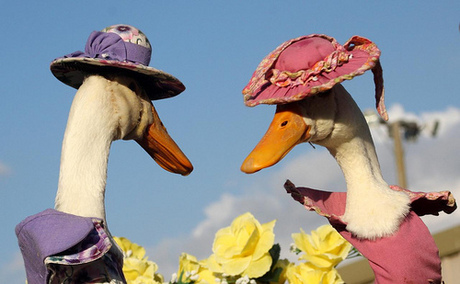  nanda LOOK ! could this be 당신 and i in our gorgeous Easter bonnets LOL !
