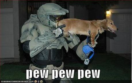 deppression hurts...

mabey u can laugh at this halo dog picture! LOLZ!