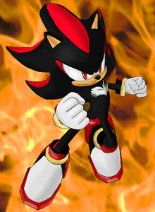 By the way, I Roleplay as Shadow The Hedgehog.