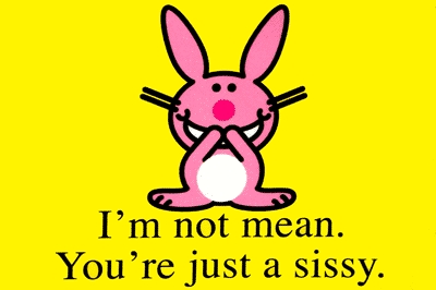 heh im not mean ur just a sissy