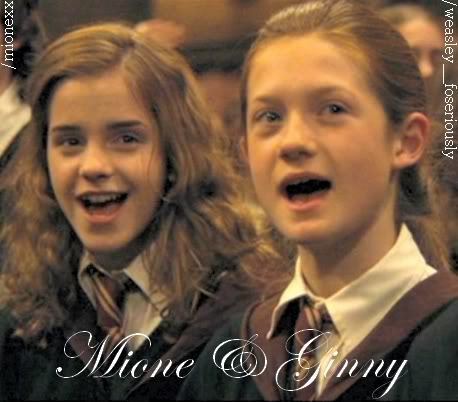 Round 17: Ginny and Hermione - silverandgreen7