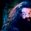  False TPBM loves Hagrid