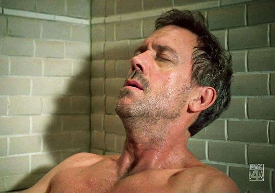 Hugh Laurie-ous - a thread for crazy fangirls :) - Huddy - F