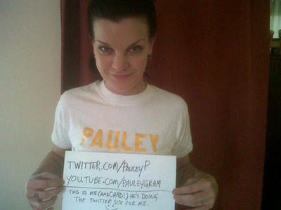  http://www.ncisfanatic.com/2010/06/pauley-perrette-is-finally-on-twitter-pauleyp.html