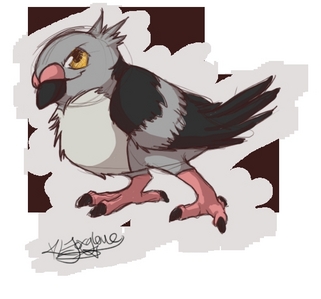 mamepato the baby pidgeon pokemon   it looks coool ash may catch it   and stuff  a flying/normal type