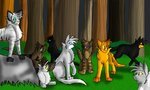 "Bramblepaw, Moonpaw, Nightpaw, do you three promise to except the warrior code? To protect and defen
