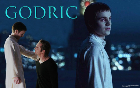  Ok..Basically this is the list of all the Godric fans..who they are, why they amor G so much etc. Its