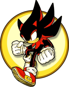  Me: I would like u all to meet Shade the hedgehog. (NOT Shade the echidna) He is really awesome and h