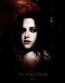 Bella Cullen - Breaking Dawn - twilight-series fan art