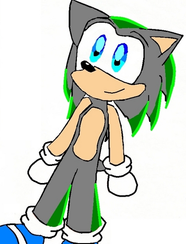 Chis The Hedgehog