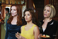 Desperate Housewives cast - desperate-housewives photo