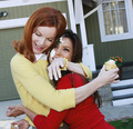 Desperate Housewives cast - desperate-housewives photo