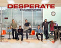 desperate-housewives - Desperate Housewives wallpaper