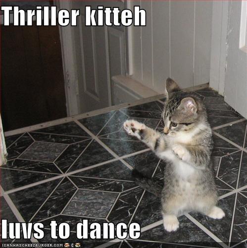 [Image: Funny-kitahs-LoL-cute-kittens-10032503-499-501.jpg]