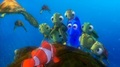 Squirt, Marlin and Dory are riding the Turtle. - finding-nemo photo