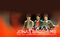the-jonas-brothers - JoBros Wallpaper wallpaper