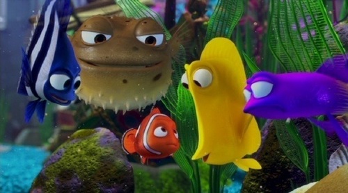  Nemo and his headquarters Group at the FishTank