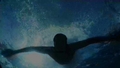 Paul Wesley(Beneath the Blue) - paul-wesley photo