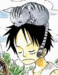Peaceful Luffy - monkey-d-luffy icon
