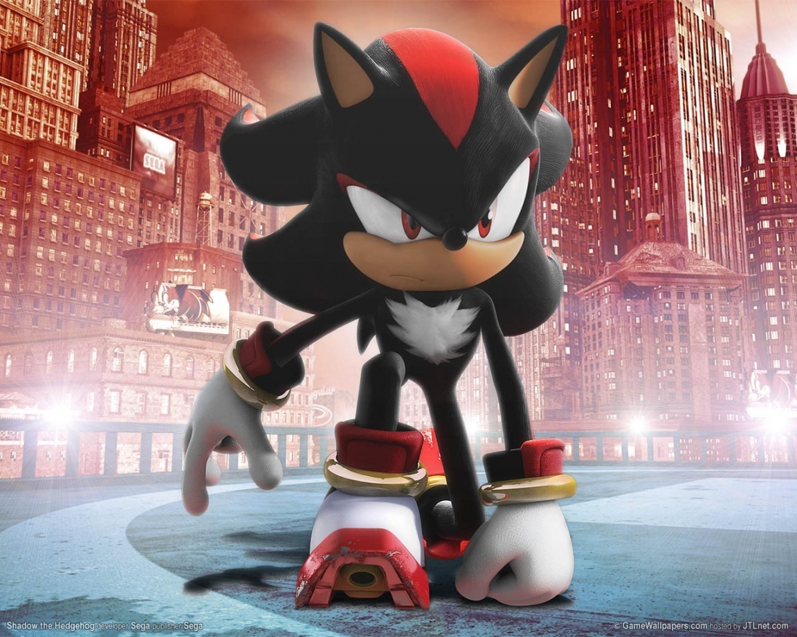10006524. photo of Shadow The Hedgehog for fans of Shadow the Hedge...