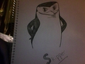 Skipper attempt! X] - penguins-of-madagascar fan art