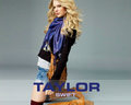 taylor-swift - Taylor Swift  wallpaper