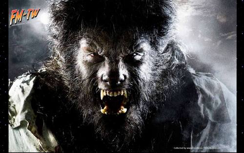  The Wolfman Movie Poster