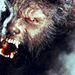 The Wolfman. - horror-movies icon