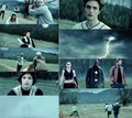 Twilight funny :) - twilight-series fan art