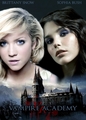 Vampire Academy movie poster - vampire-academy fan art