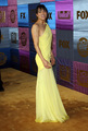 Michelle at 2010 Golden Globe Awards - michelle-rodriguez photo