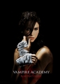 Rose Hathaway - vampire-academy fan art