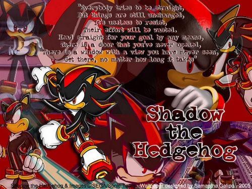  Shadow the Hedgehog