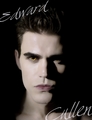 Stefan Cullen :D - the-vampire-diaries fan art