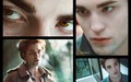 twilight-series - Twilight and New Moon Wallpapers wallpaper
