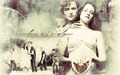 Twilight and New Moon Wallpapers - twilight-series wallpaper