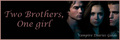 Vampire Diaries banners  - the-vampire-diaries fan art