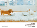 puppies - ♥ Puppies ♥ wallpaper