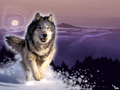 wolves - ~♥ Wolves ♥ ~ wallpaper