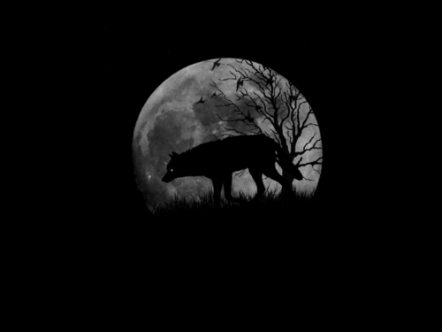 ~♥ Волки ♥ ~