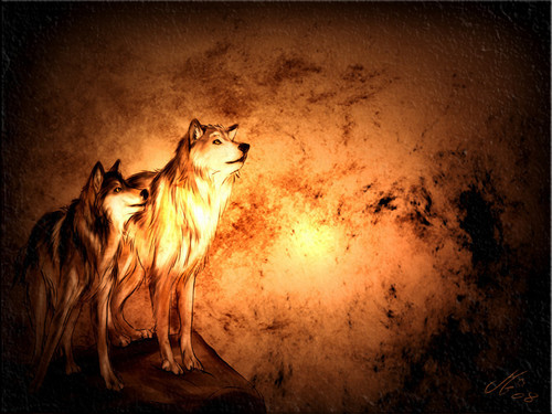  ~♥ Người sói ♥ ~