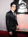 Adam Grammys Red Carpet - adam-lambert photo
