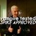 BTVS.. - buffy-the-vampire-slayer icon