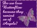 Butterfly Verse ! - butterflies fan art