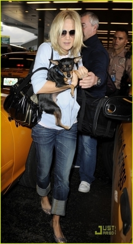 Carrie arriving in Miami