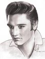 Elvis Portrait - elvis-presley fan art