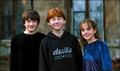 Harry Potter and Co - harry-potter photo